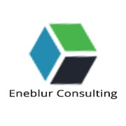 Eneblur Consulting web design digital marketing