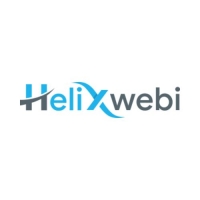 Helixwebi Web Designing Company Surat | Ecommerce Web Developer