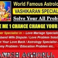 Astrologer