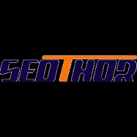 SEO THOR SOLUTION PVT LTD