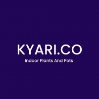 KYARI.co