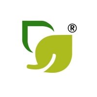 DBR Exports India