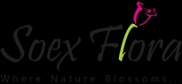 Soex Flora