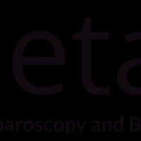  MetaHeal Laparoscopy And Bariatric Surgery Centre