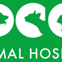 DCC Animal Hospital