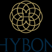 https://www.hybonelevators.com/