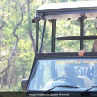 bandipur resort