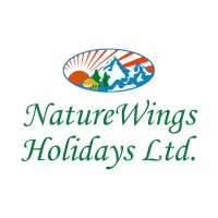 NorthBengal Tour Packages – A Perfect Escape into Nature and Tranquility
